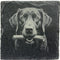 Dogs