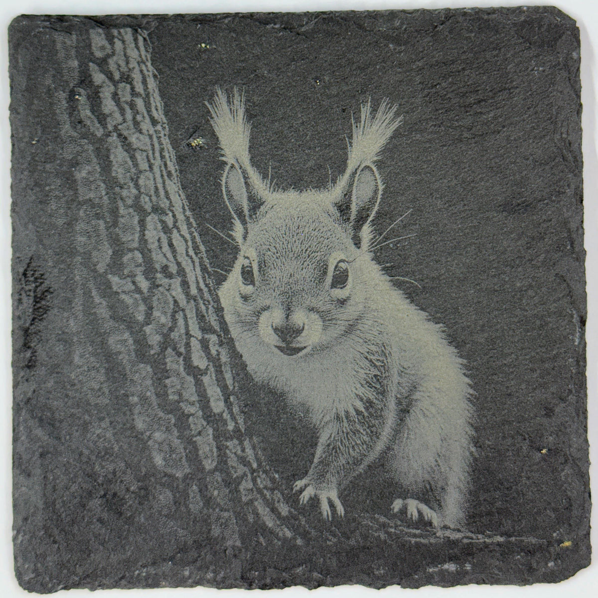 Playful Squirrel Peeking from a Tree – Engraved Slate Coaster