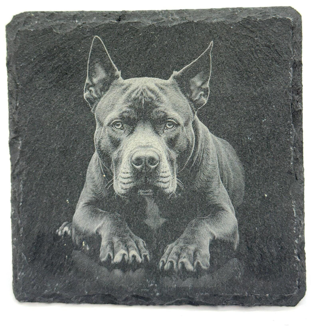 Pit Bull Portrait Coaster – Natural Slate Stone