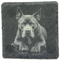 Pit Bull Portrait Coaster – Natural Slate Stone
