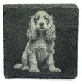 Cocker Spaniel Lover Gift – Laser Engraved Slate Coaster