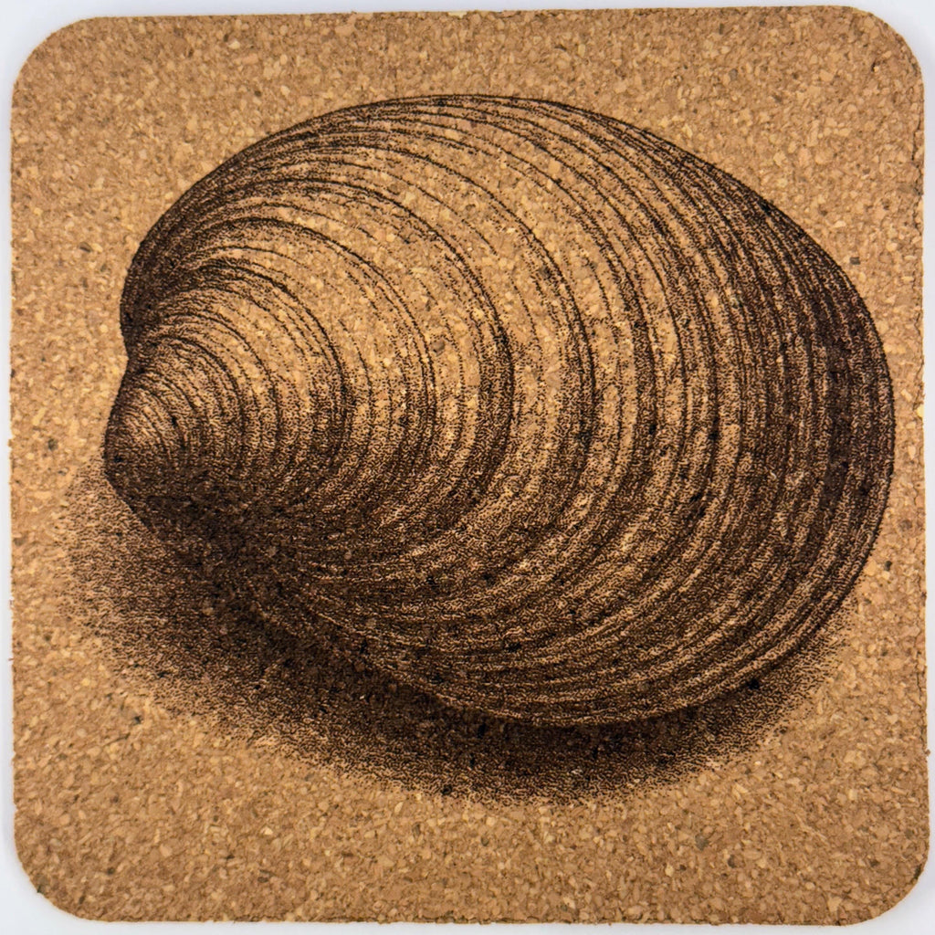 Coastal Clam Shell Cork Coaster – Simple Beach Engraved Cork