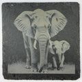Protective Elephant and Calf – Engraved Slate Coaster