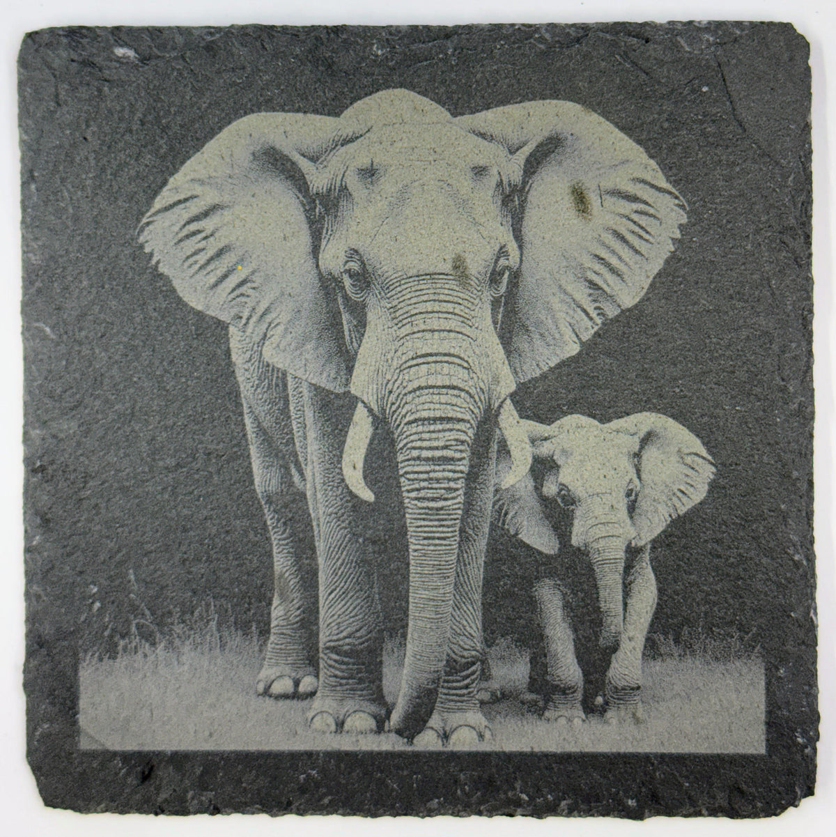 Protective Elephant and Calf – Engraved Slate Coaster