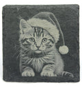 Christmas Kitten Slate Coaster – Cat in Santa Hat Holiday Art