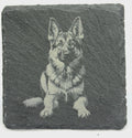 German Shepherd Dog Slate Coaster – Detailed Canine Illustration