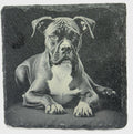 Boxer Dog Portrait Coaster – Natural Slate Stone