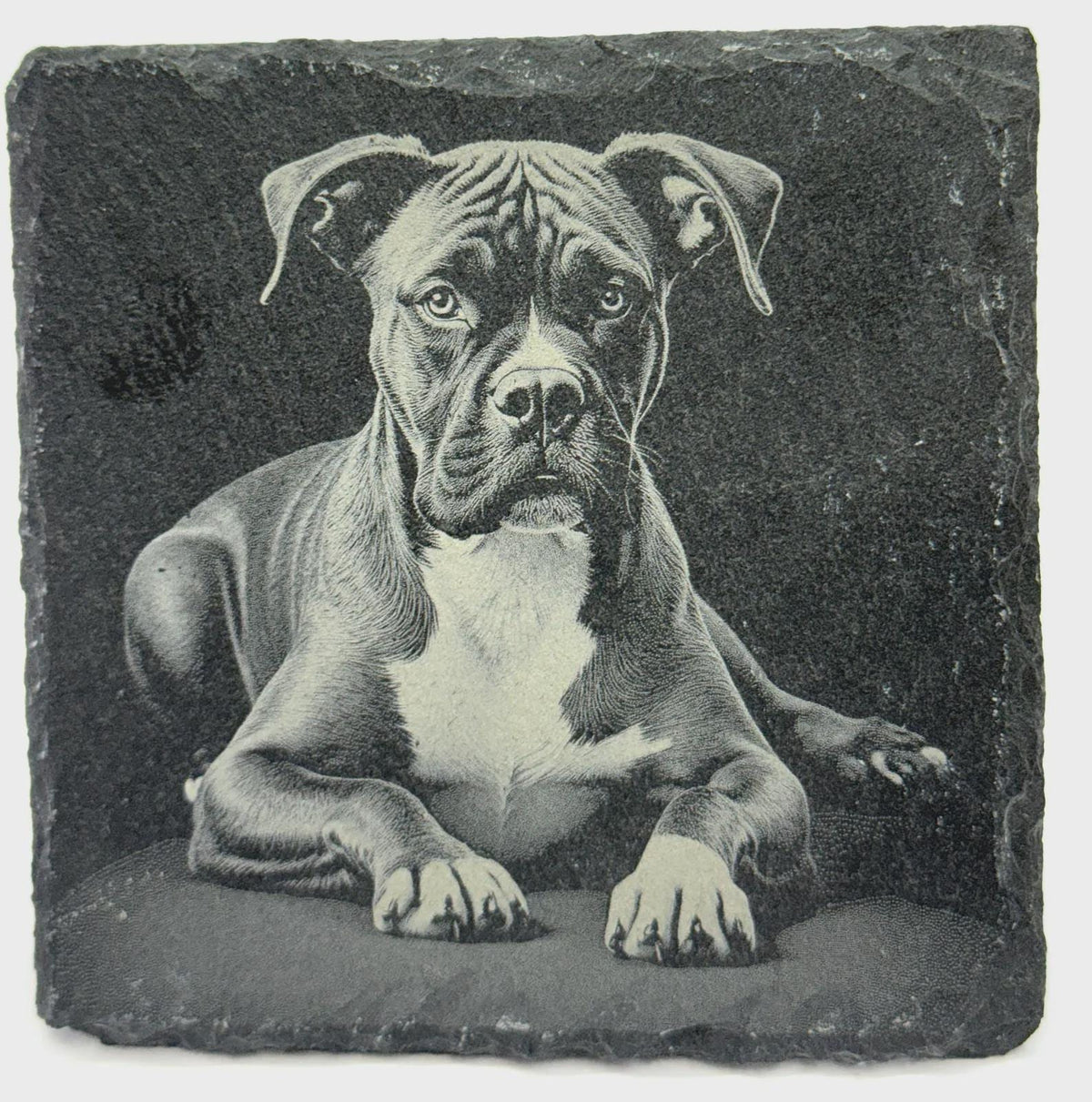 Boxer Dog Portrait Coaster – Natural Slate Stone