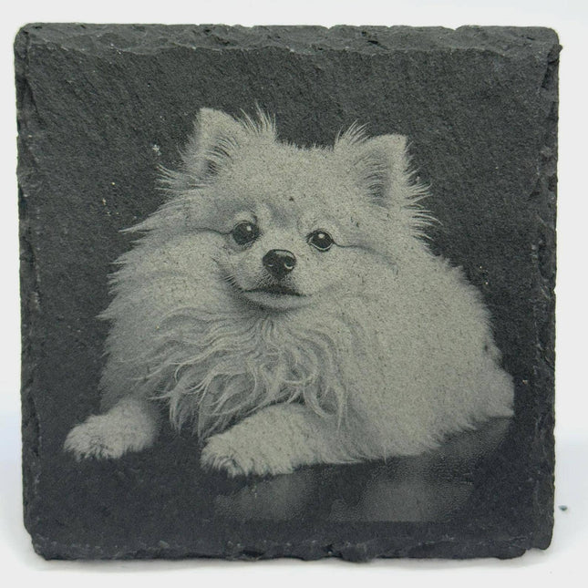 Pomeranian Slate Coaster – Engraved Pom Dog Portrait