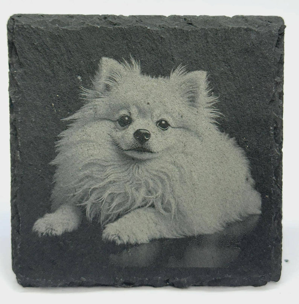 Pomeranian Slate Coaster – Engraved Pom Dog Portrait