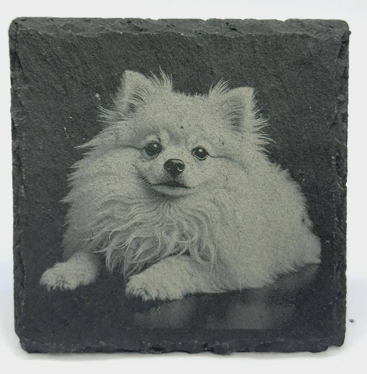 Pomeranian Slate Coaster – Engraved Pom Dog Portrait