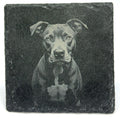 Pit Bull Lover Gift – Laser Engraved Slate Coaster