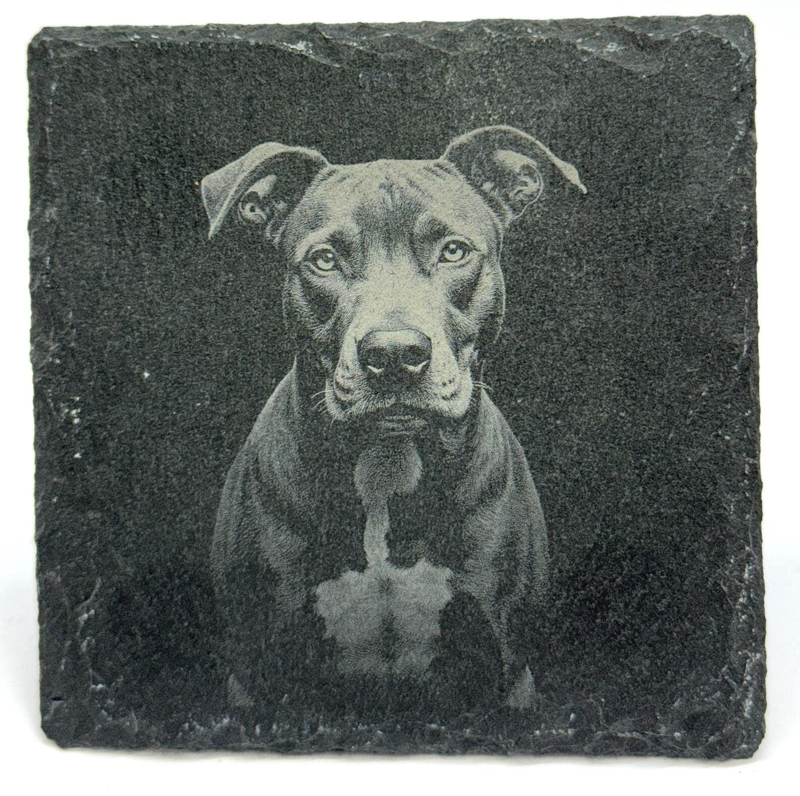 Pit Bull Lover Gift – Laser Engraved Slate Coaster