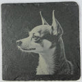Small Chihuahua Dog – Natural Slate Coaster