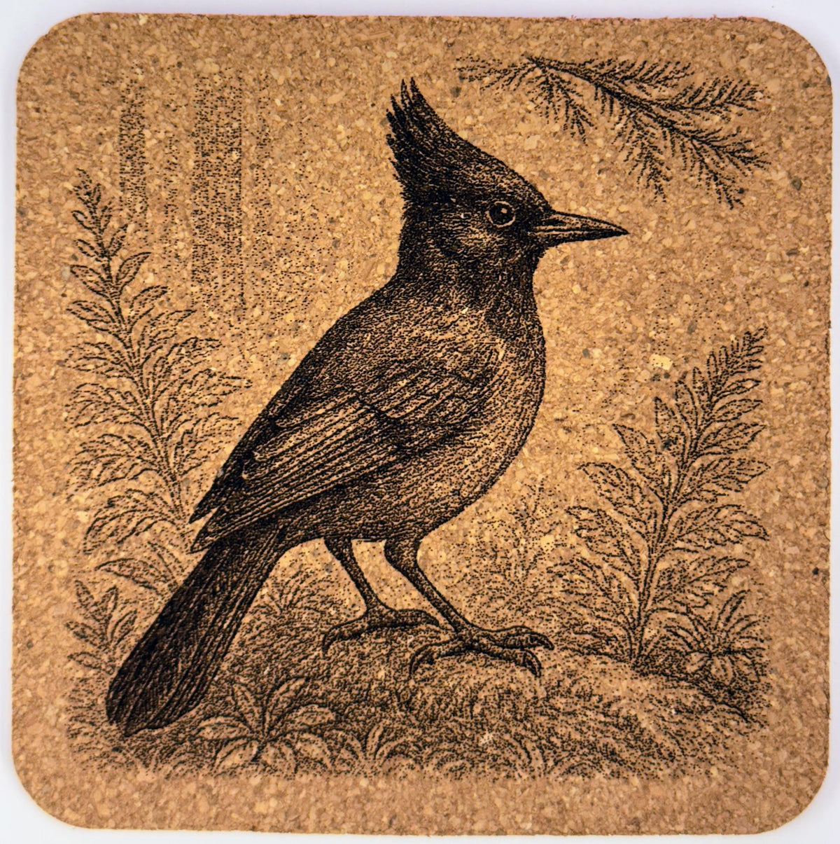 Steller’s Jay with Crest – Pacific Northwest Bird Cork Coaster