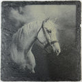Elegant Saddled Horse – Engraved Slate Coaster