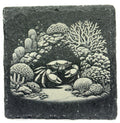 Coral Reef Crab Slate Coaster – Underwater Ocean Life Art