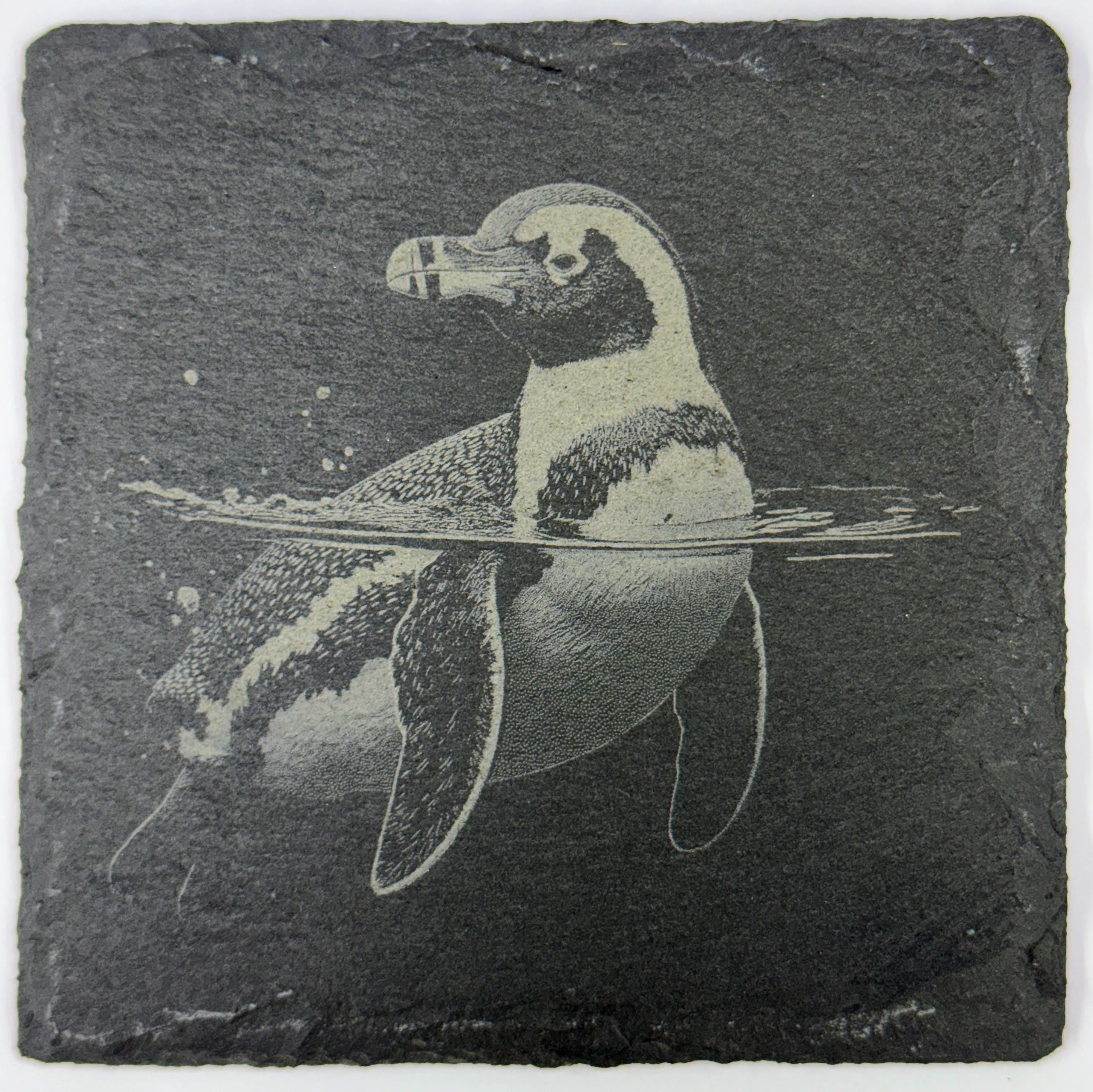 Playful Penguin Floating in Water – Engraved Slate Coaster