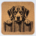 Beagle Puppy at the Fence – Engraved Cork Coaster