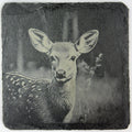Sweet Baby Fawn Peeking Through the Woods – Engraved Slate Coaster