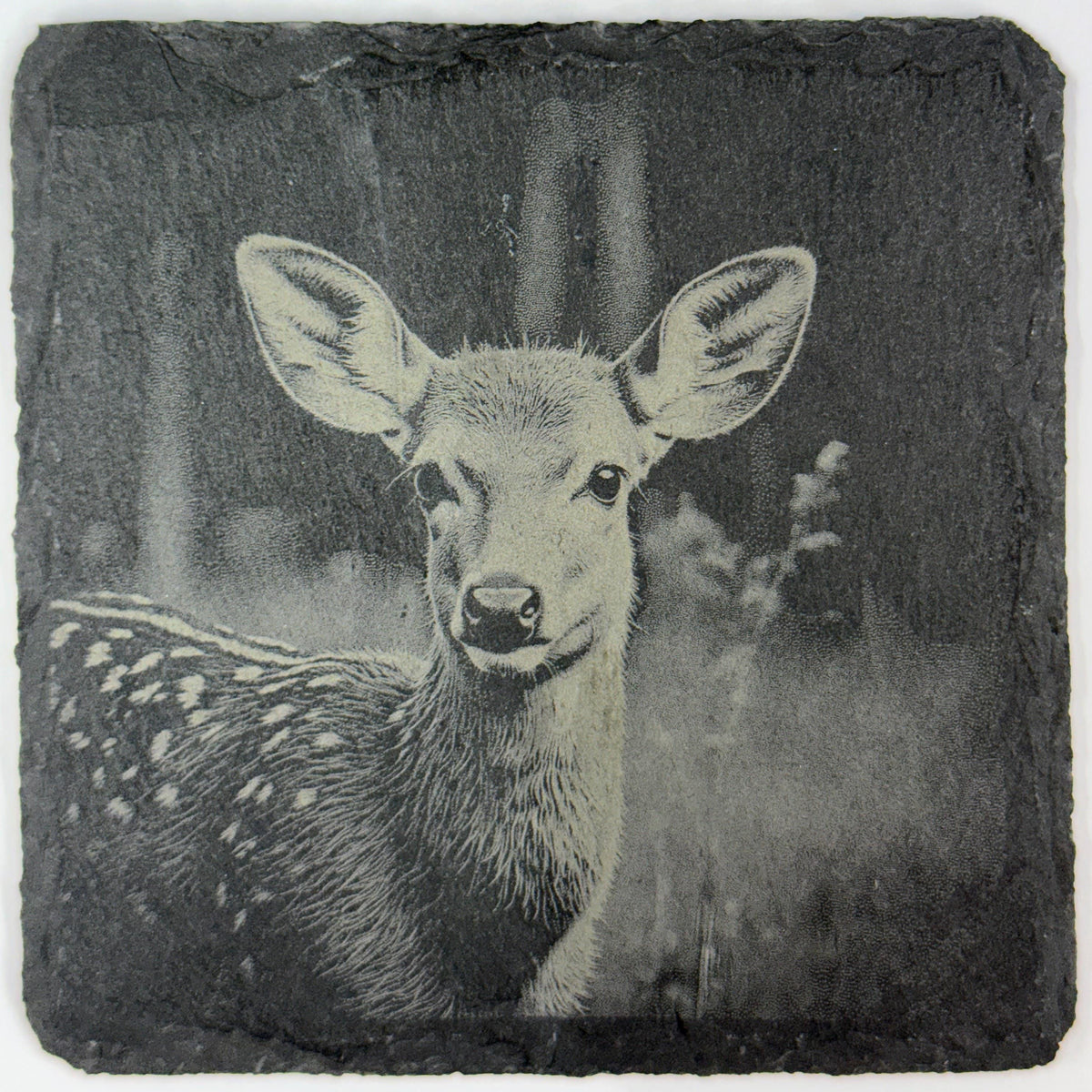 Sweet Baby Fawn Peeking Through the Woods – Engraved Slate Coaster