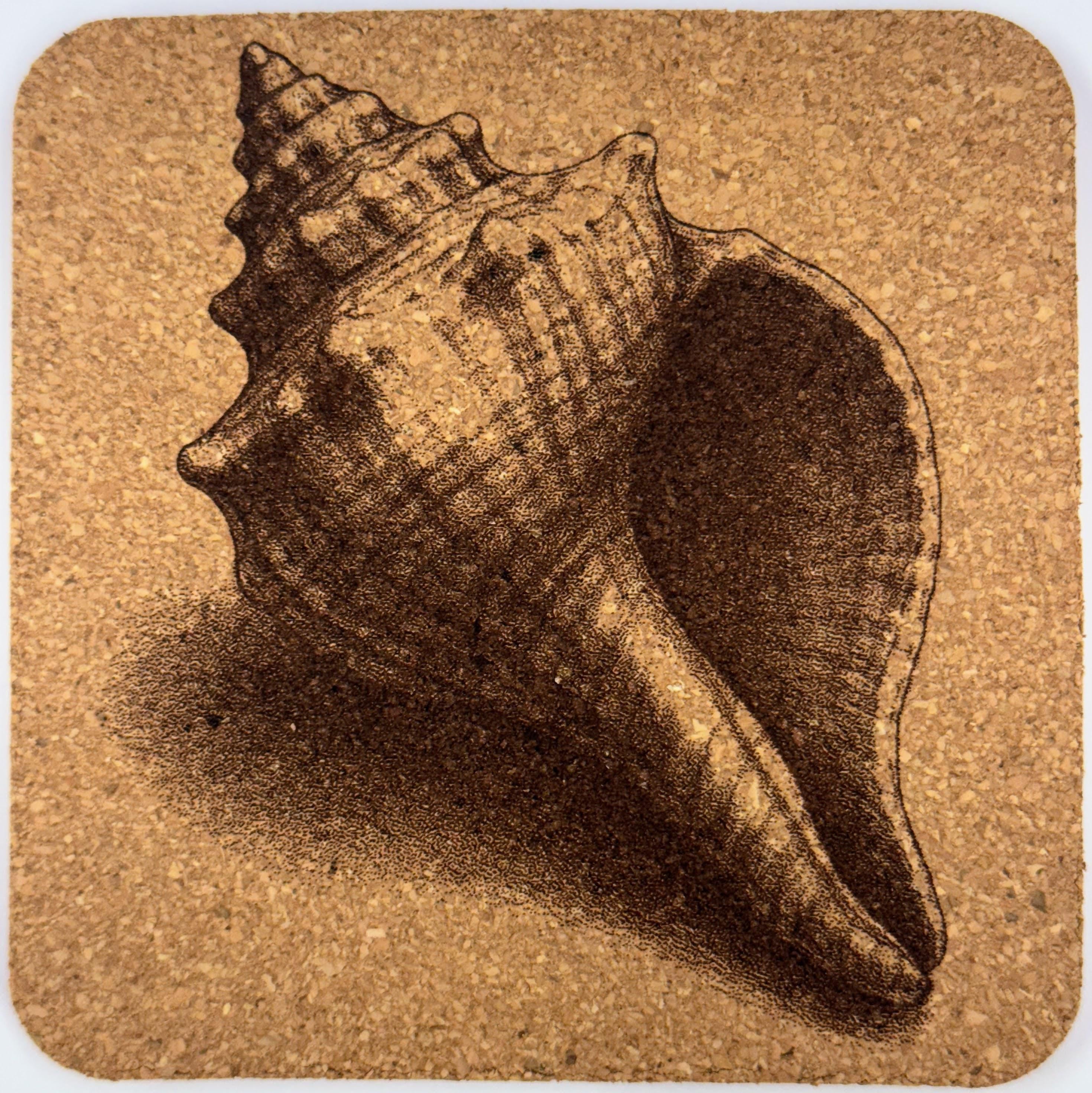 Ocean Conch Shell Cork Coaster – Beach Walk Engraved Cork