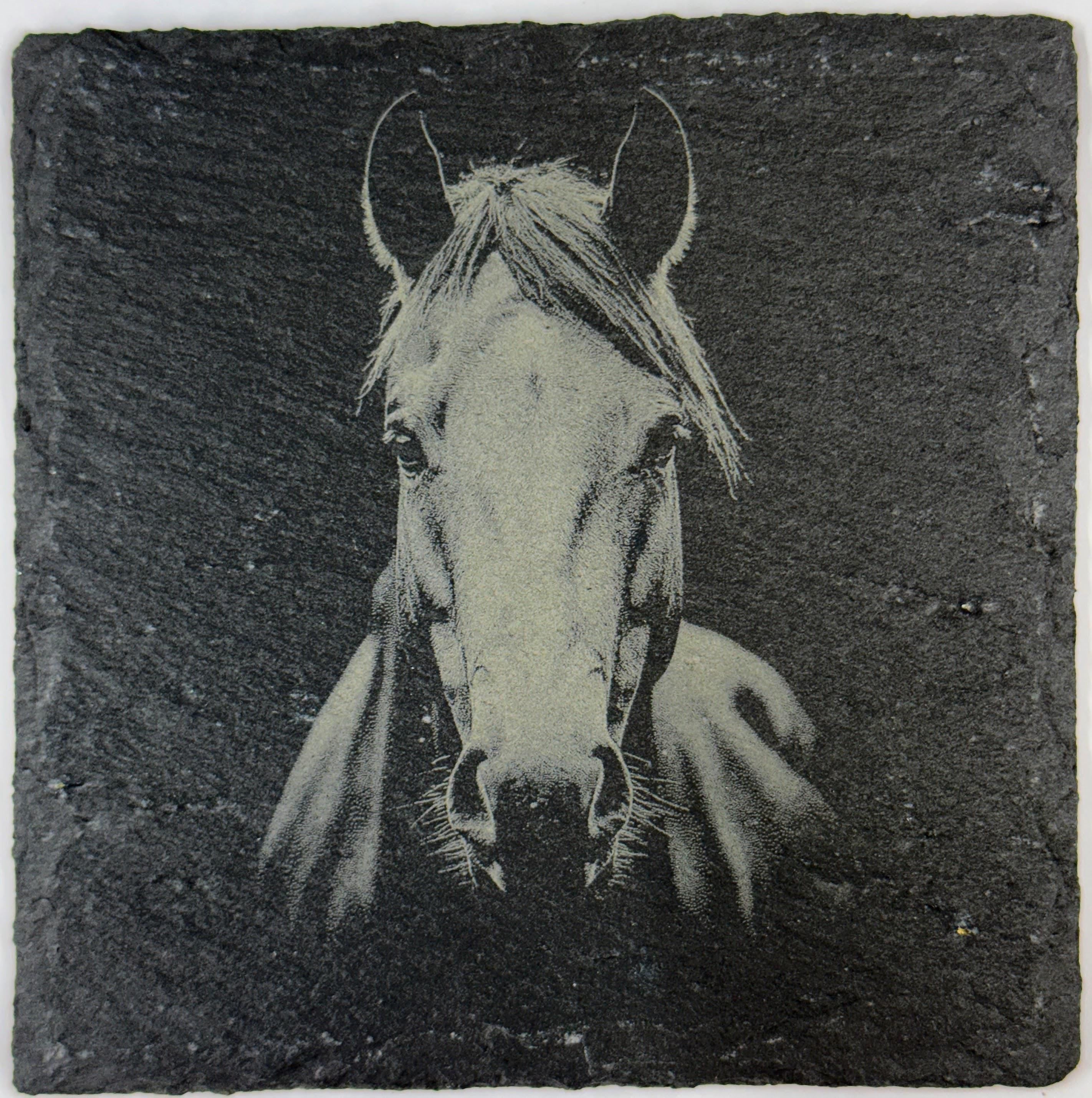 Gentle Horse Portrait – Engraved Slate Coaster