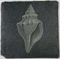 Conch Shell Slate Coaster – Ocean Keepsake Engraved Stone
