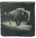 Running American Bison Slate Coaster – Buffalo Wildlife Art