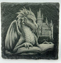 Reading Dragon Slate Coaster – Fantasy Book Art