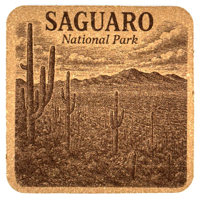 Saguaro National Park Cork Coaster – Arizona Desert Cactus Landscape