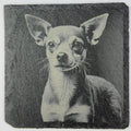 Chihuahua Illustration – Engraved Slate Coaster
