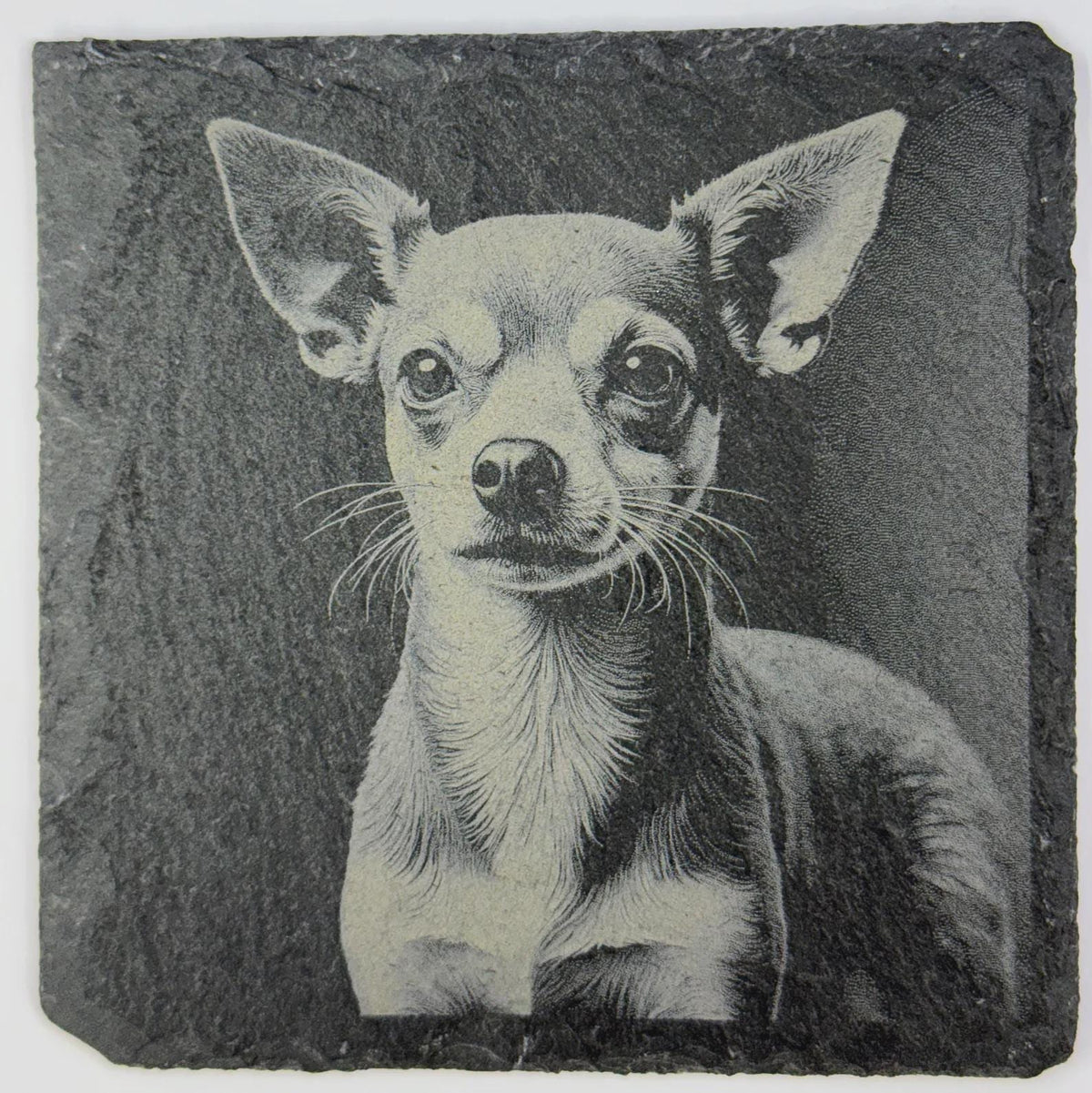 Chihuahua Illustration – Engraved Slate Coaster