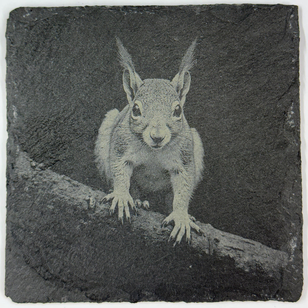 Adventurous Little Squirrel on a Branch – Cute Slate Coaster