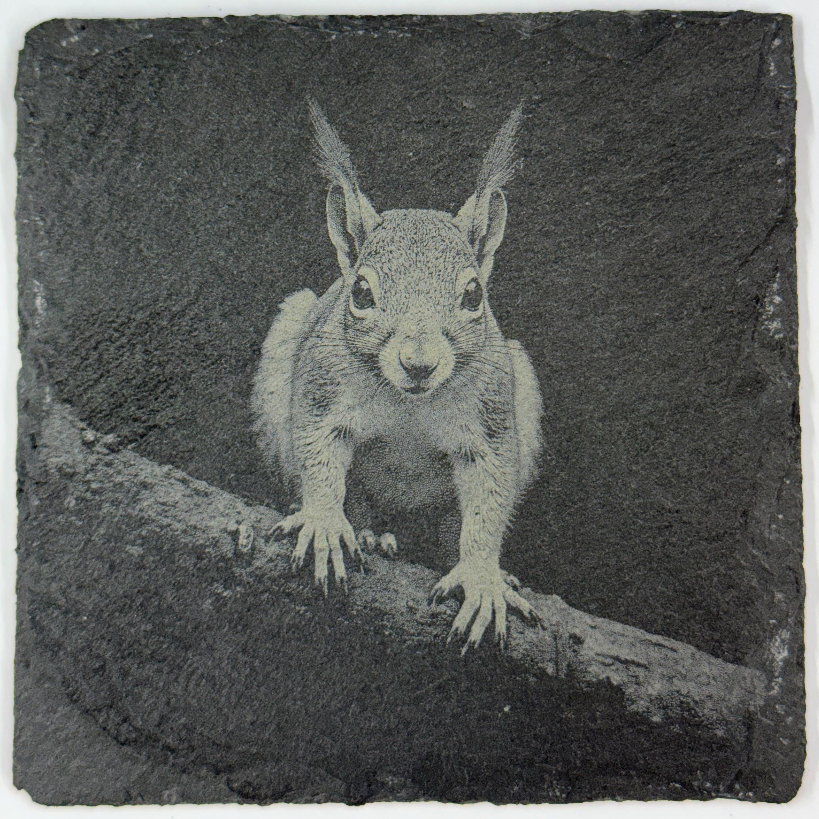 Adventurous Little Squirrel on a Branch – Cute Slate Coaster