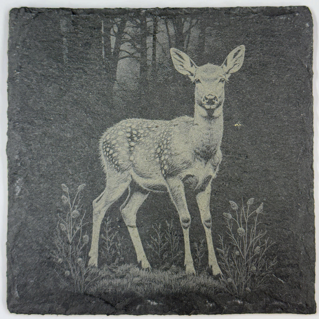 Curious Baby Fawn Standing in the Meadow – Engraved Slate Coaster