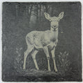 Curious Baby Fawn Standing in the Meadow – Engraved Slate Coaster