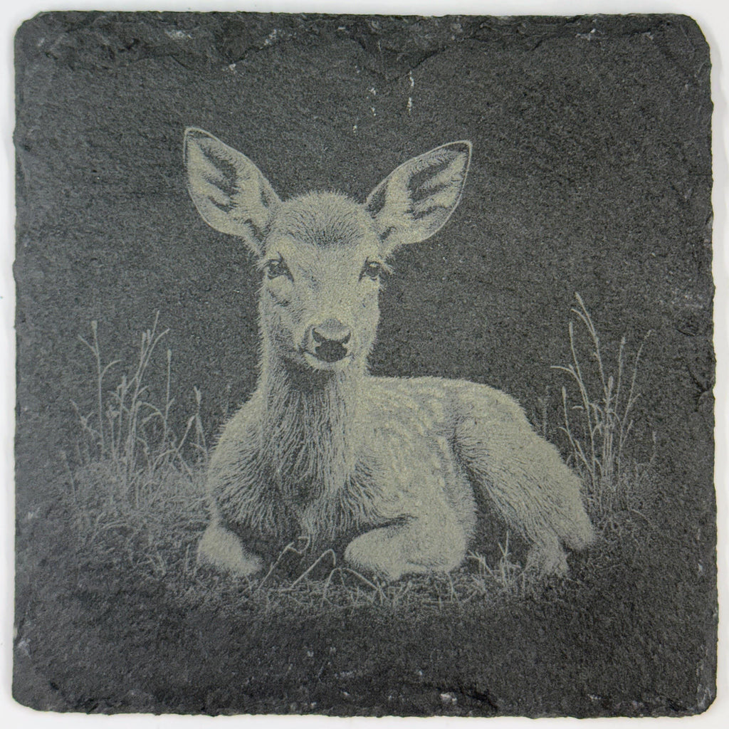 Peaceful Baby Fawn Resting in the Grass – Engraved Slate Coaster