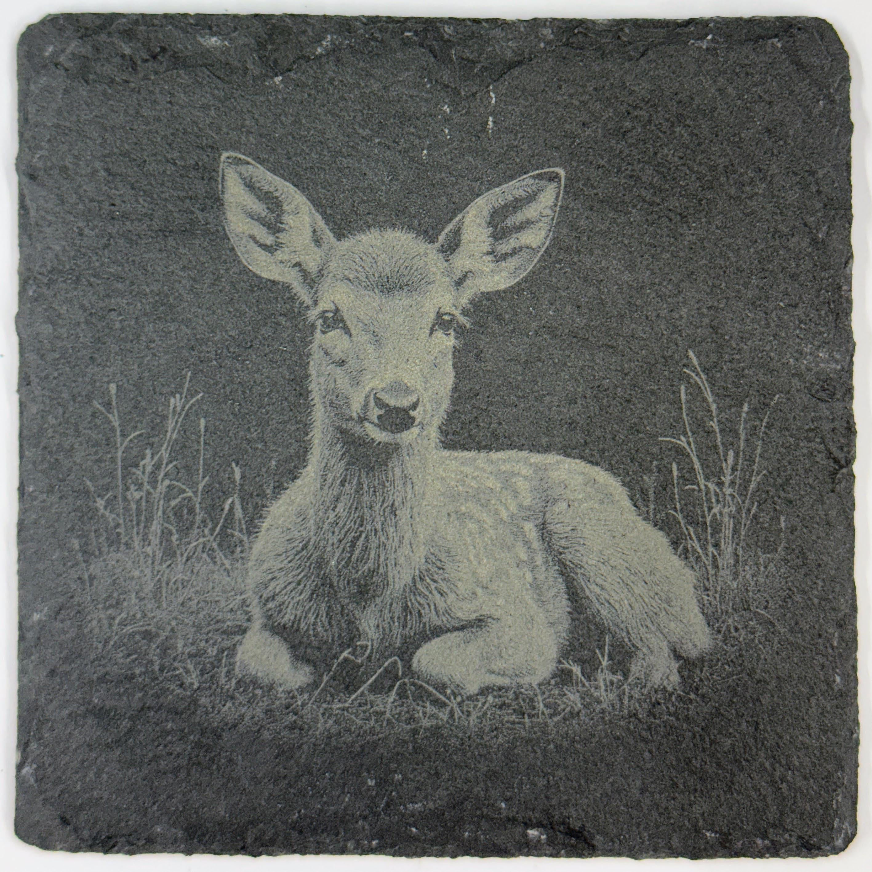Peaceful Baby Fawn Resting in the Grass – Engraved Slate Coaster