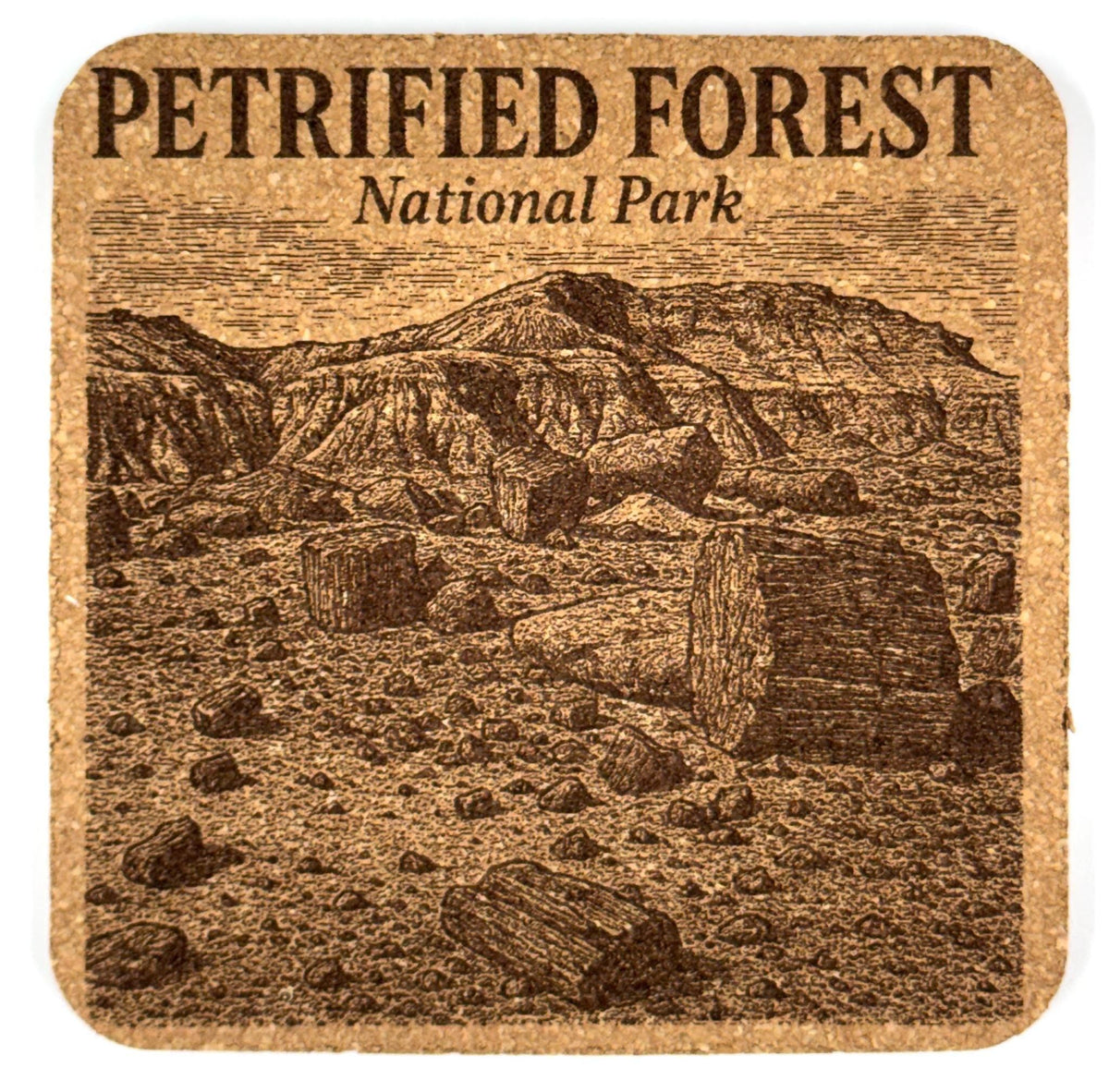 Petrified Forest National Park Cork Coaster – Arizona Fossil Wood