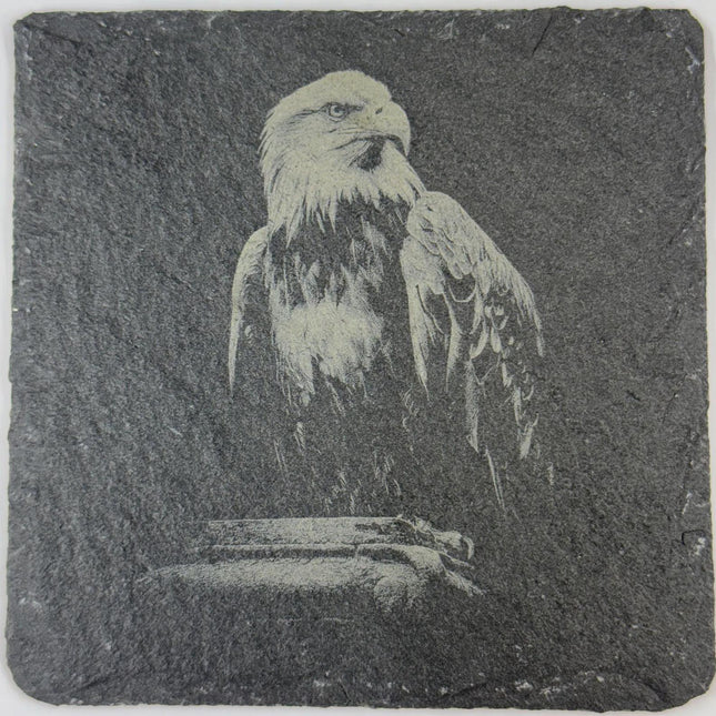 Bald Eagle Portrait Slate Coaster – Dramatic Wildlife Art