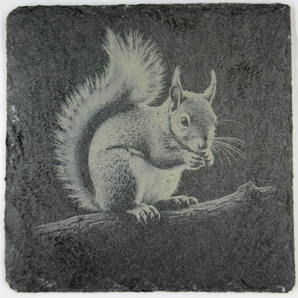 Happy Little Squirrel Snacking – Engraved Slate Coaster