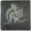 Happy Little Squirrel Snacking – Engraved Slate Coaster