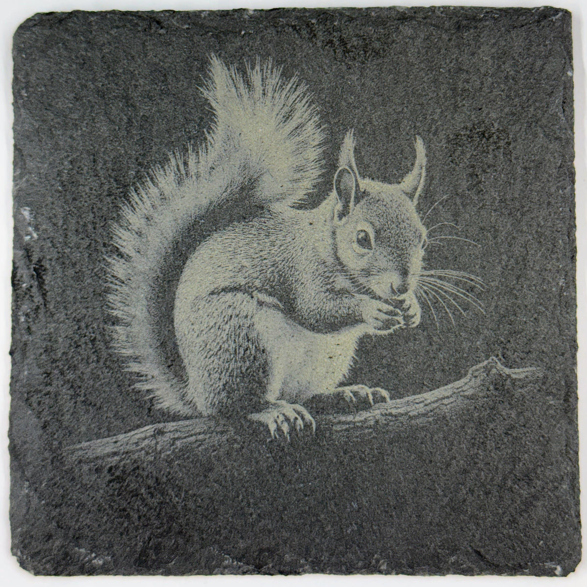 Happy Little Squirrel Snacking – Engraved Slate Coaster