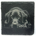 Labrador Retriever Lover Gift – Laser Engraved Slate Coaster