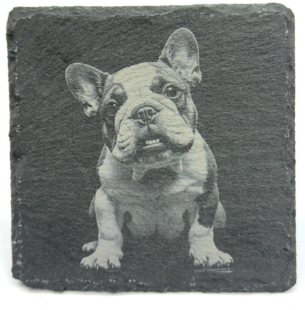English Bulldog Drink Coasters – Cute Bulldog Expressions, Dog Lover Gift