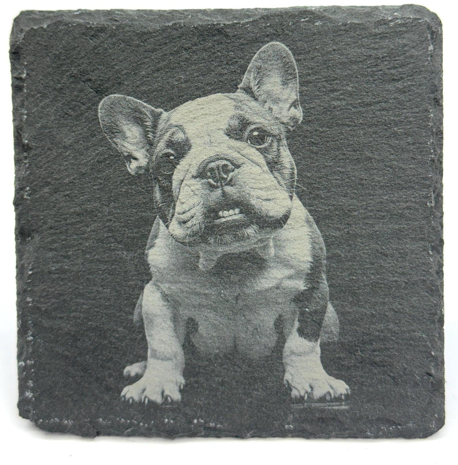 English Bulldog Drink Coasters – Cute Bulldog Expressions, Dog Lover Gift
