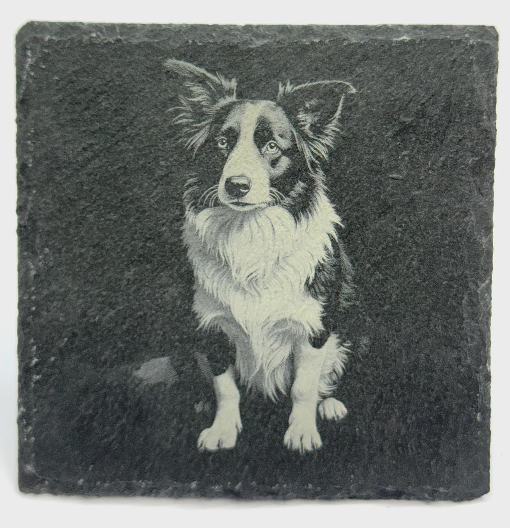 Border Collie Gaze Slate Coaster – Classic Farm Dog Artwork