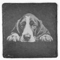 Relaxed Basset Hound Dog Slate Coaster – Sweet Face Close-Up