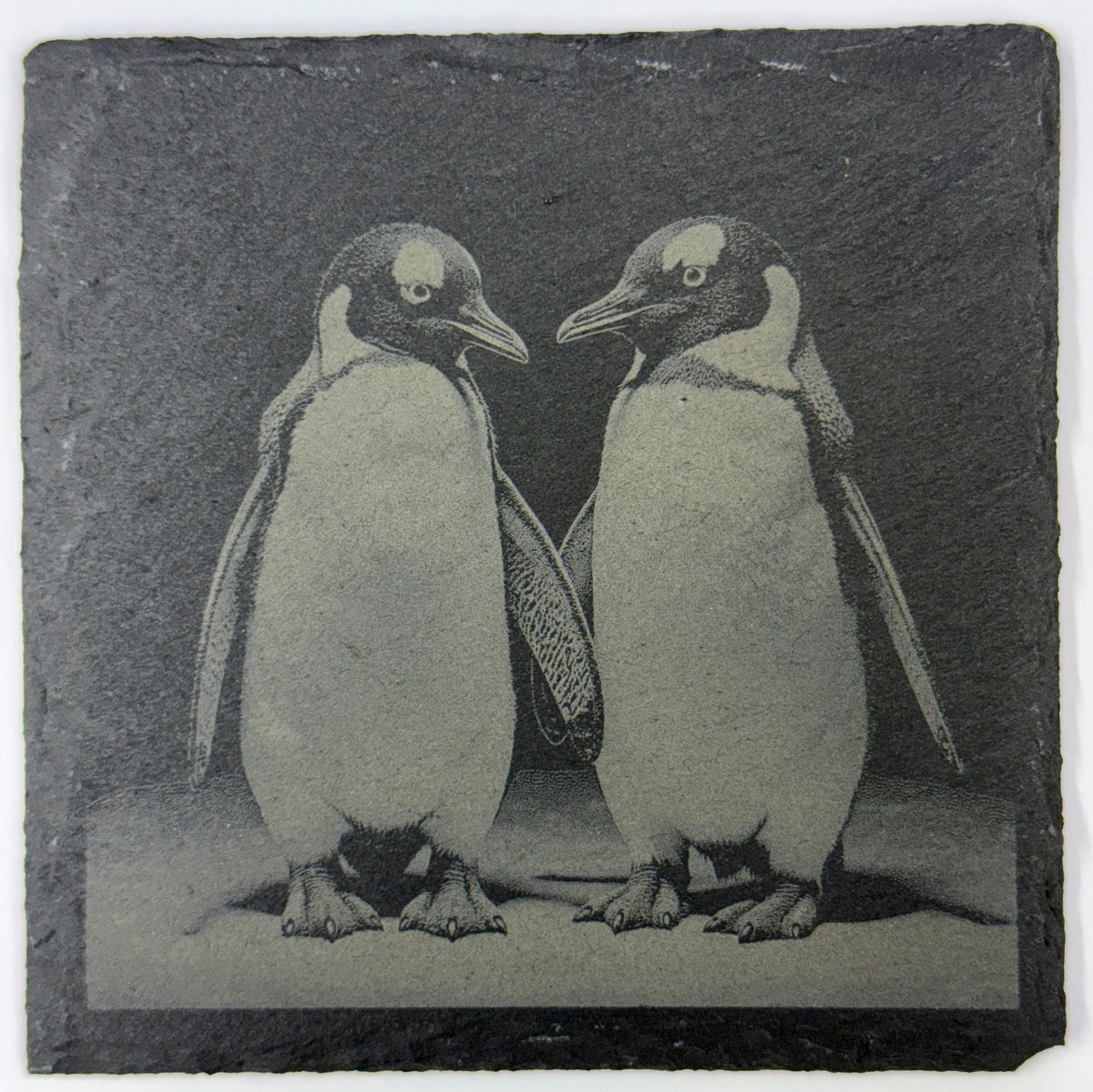 Curious Penguin Duo – Cute Engraved Slate Coaster